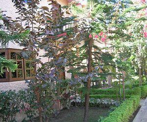 Hotel Corbett Treff Dhikuli Exterior foto